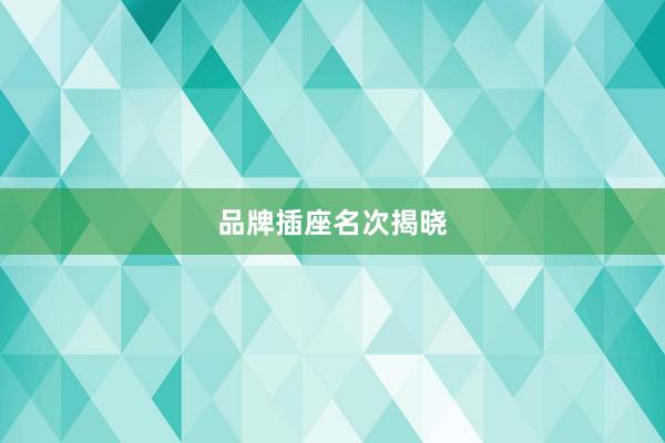 品牌插座名次揭晓