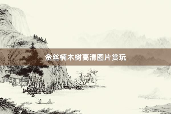 金丝楠木树高清图片赏玩