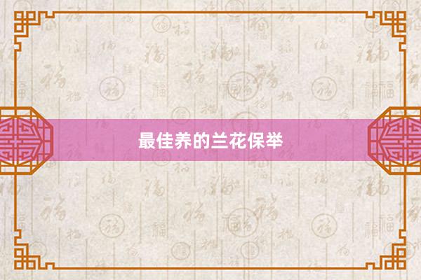 最佳养的兰花保举